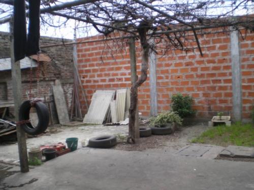 Imagen 1