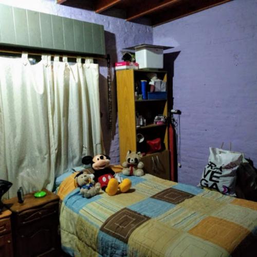 Imagen 3