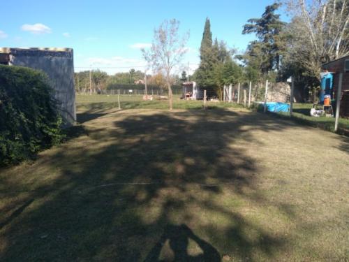 Imagen 2