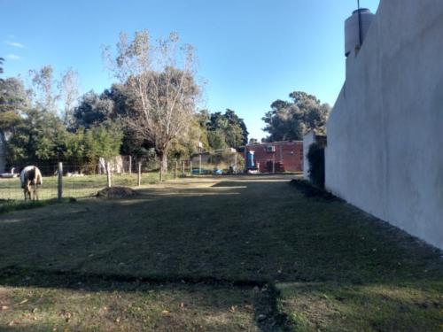 Imagen 4