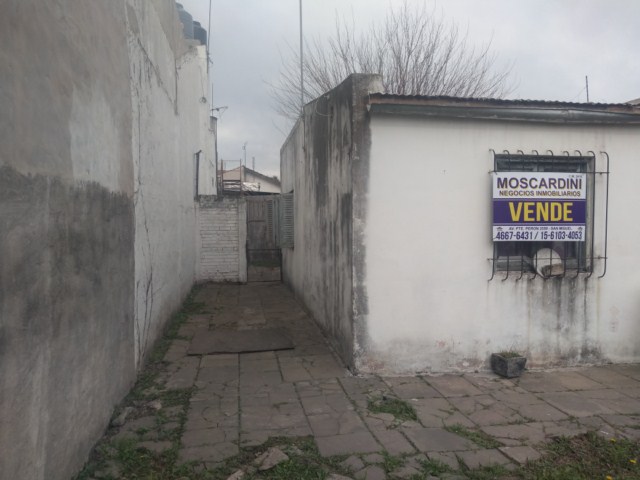 Imagen 4