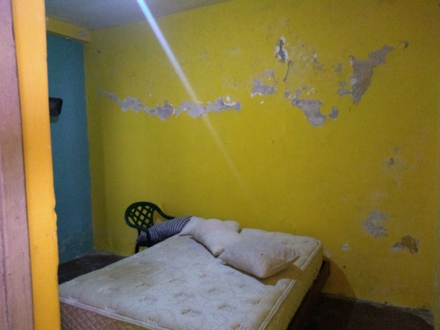 Imagen 6