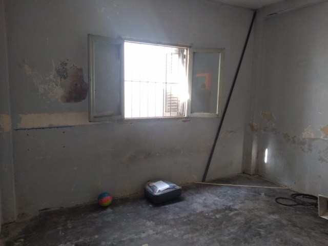 Imagen 7