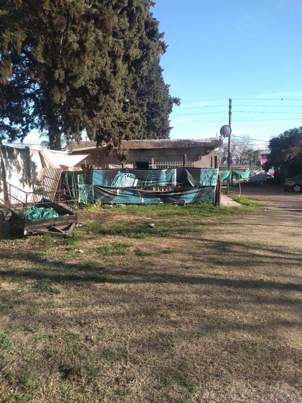 Imagen 2