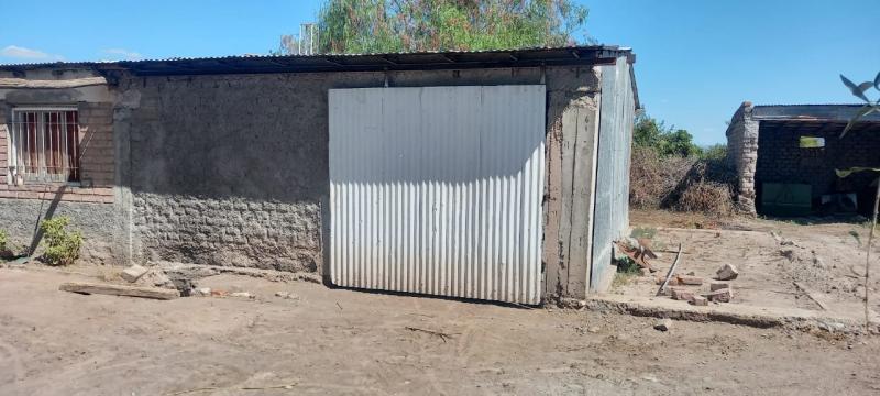 Imagen 5