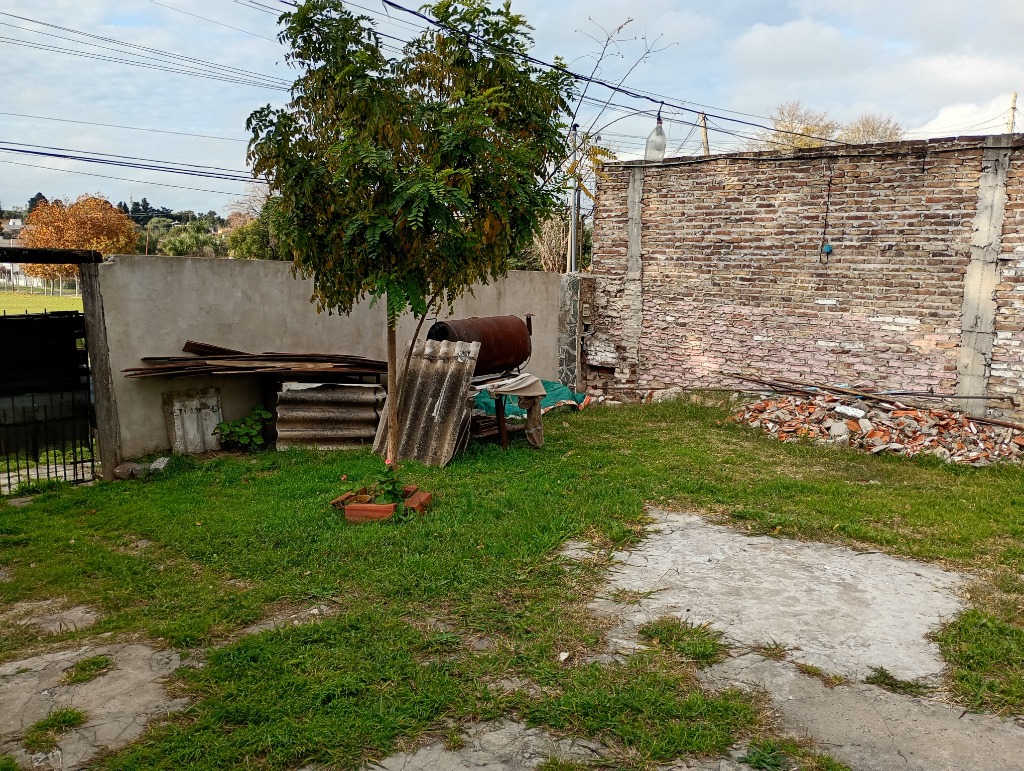 Imagen 2