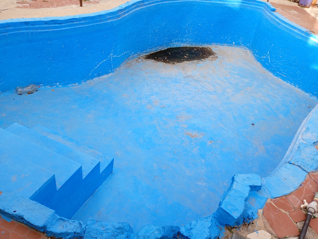 Imagen 3